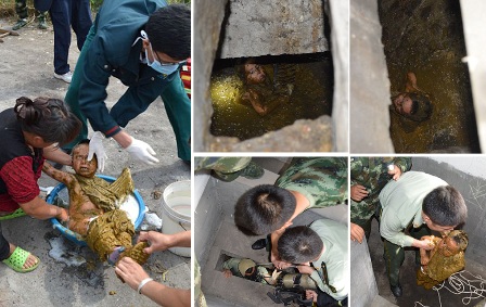 Balita `Mandi Tinja` setelah Kecebur Septic Tank